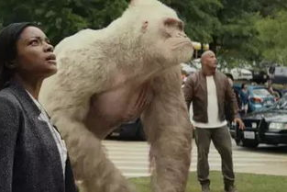 狂暴巨兽演员表,众星云集，演绎惊心动魄的怪兽之战