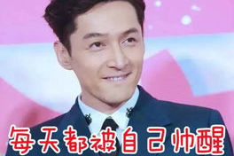 胡歌12个表情包,12种神态，诠释百变魅力